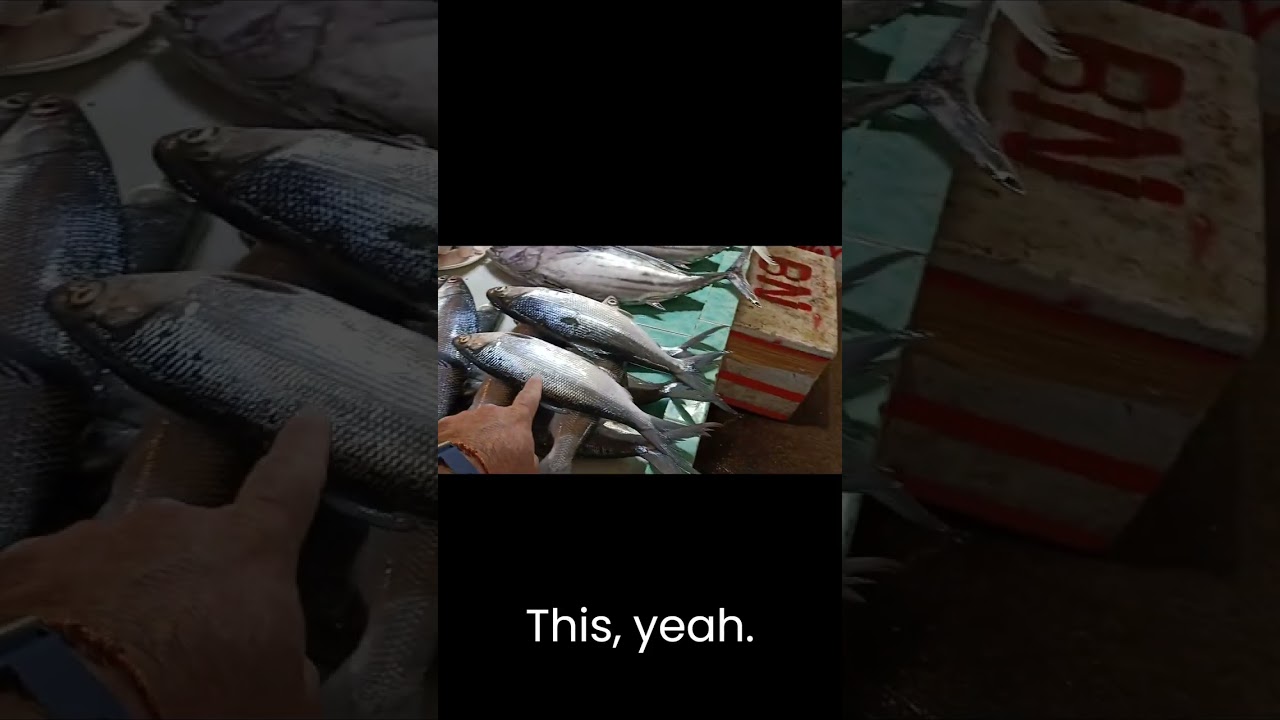 Philippines, Exploring Mysterious Sea life at Hinatuan Surigao Del Sur Seafood Market