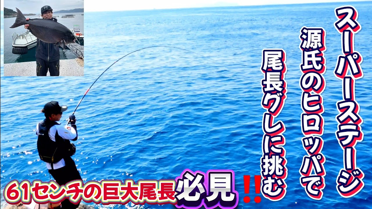 【中泊】梅雨グレ　尾長チャレンジ‼️こんなグレ釣りてぇ～(^-^)