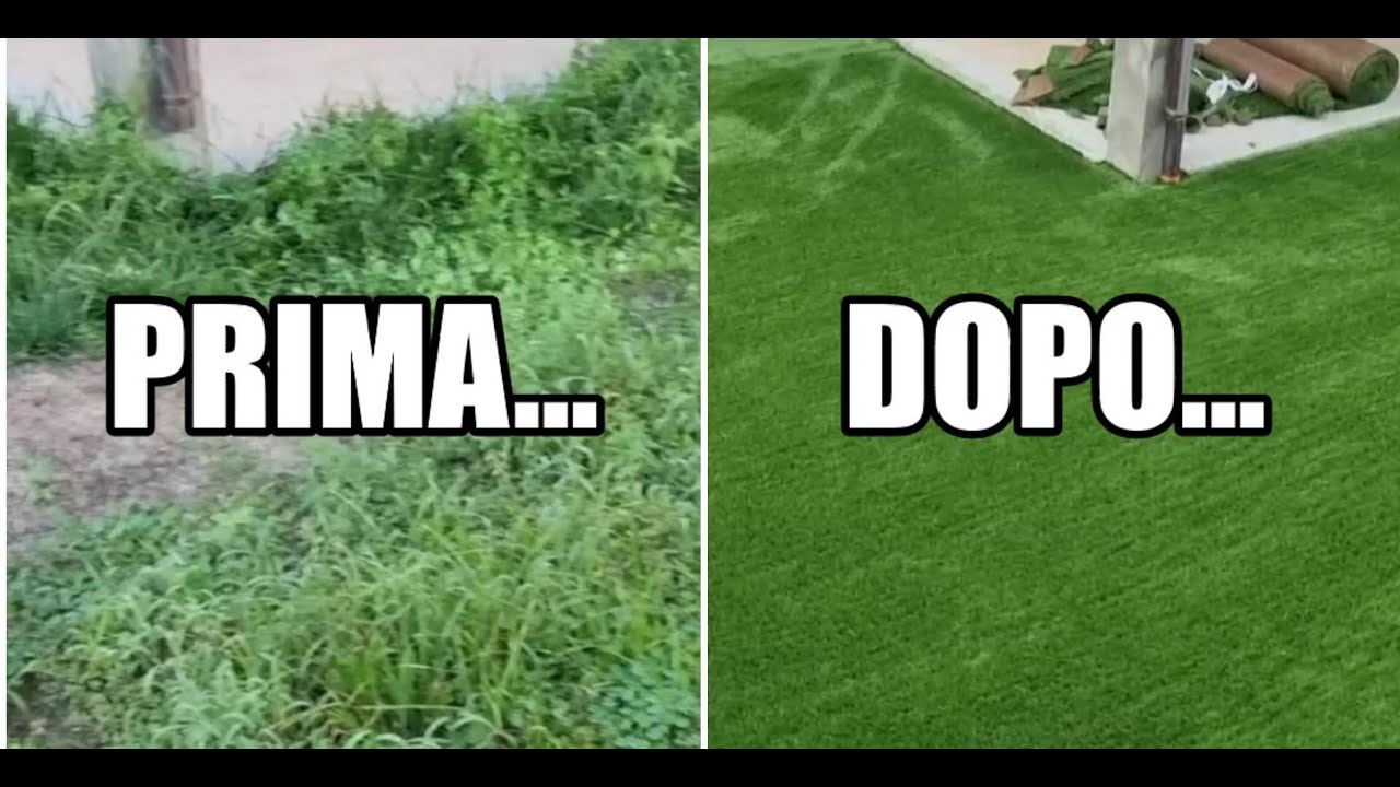 ho fatto un PRATO SINTETICO