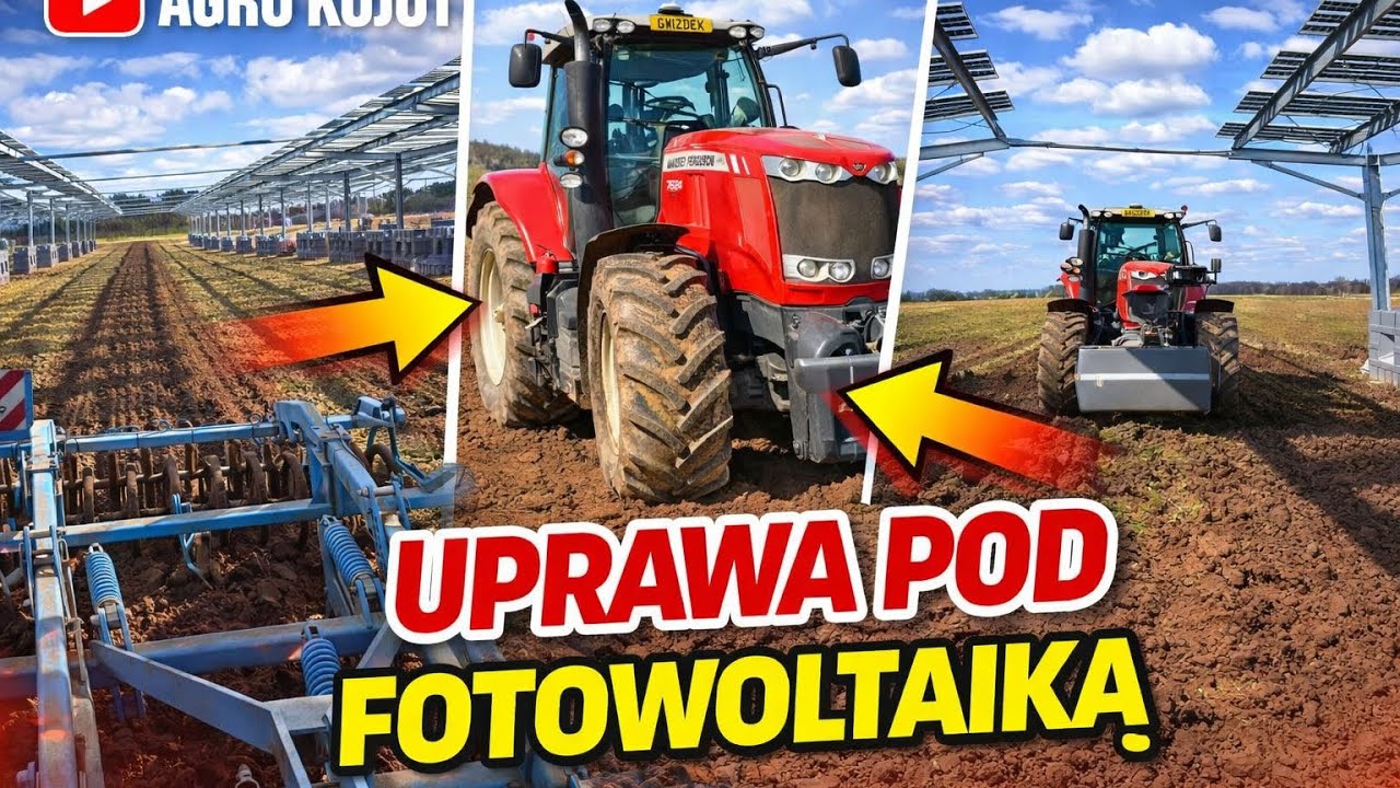 #VLOG Uprawiamy pod fotowoltaiką / Będą doświadczenia z uprawą warzyw 