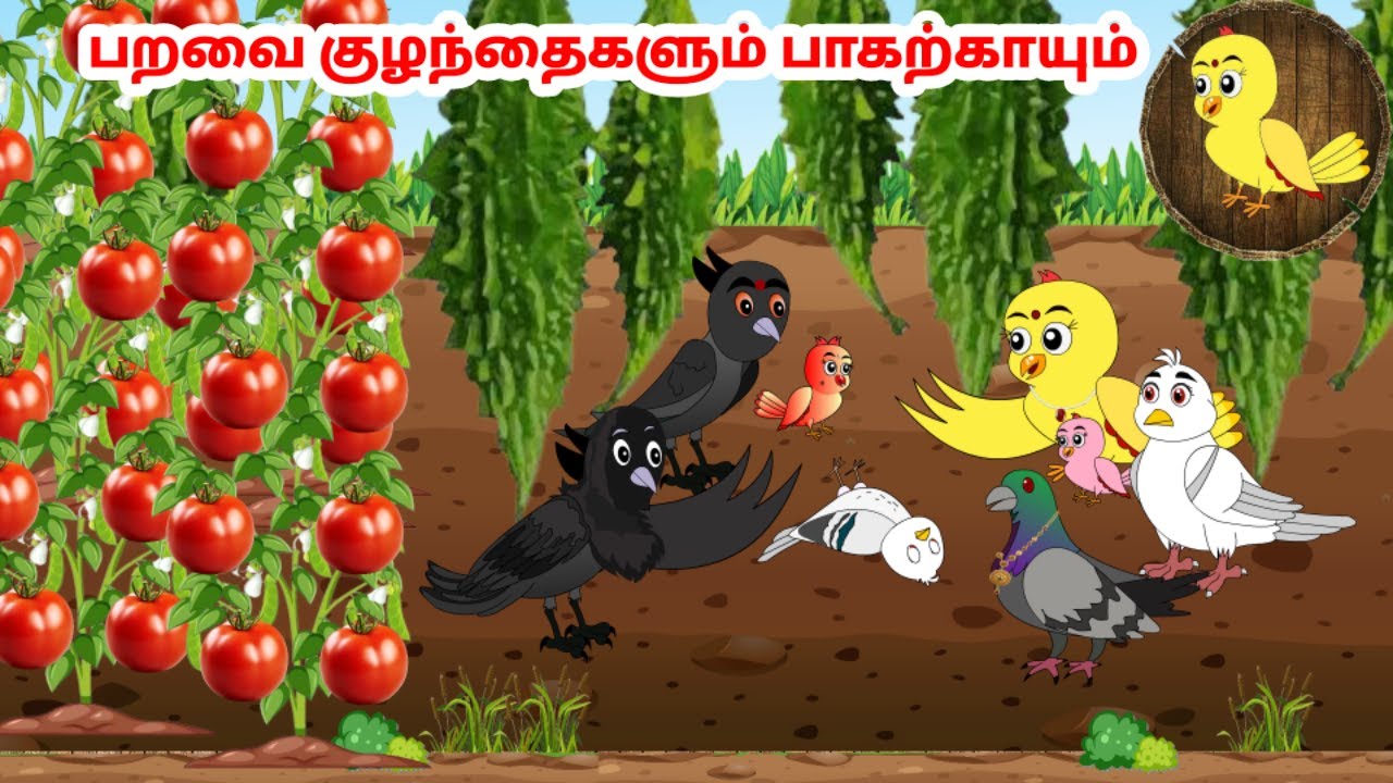 கார்ட்டூன் 26/08/24 | Feel good stories in Tamil | Tamil moral stories | Beauty Birds stories Tamil