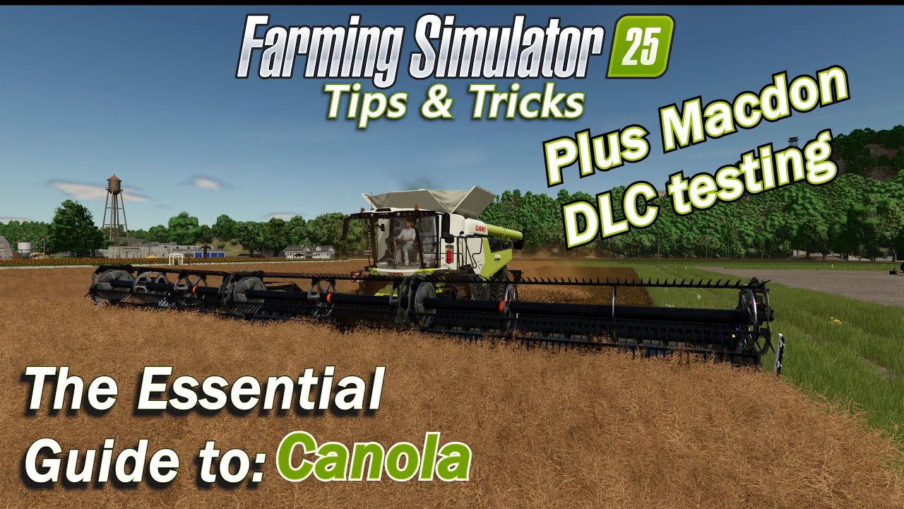 The Essential Guide to Canola in Farming Simulator 25