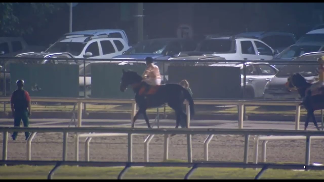 RACE 18-MARONAS-06 JAN 2026  |  THIS WAS A VERY SPECIAL HORSE RACE EVENT