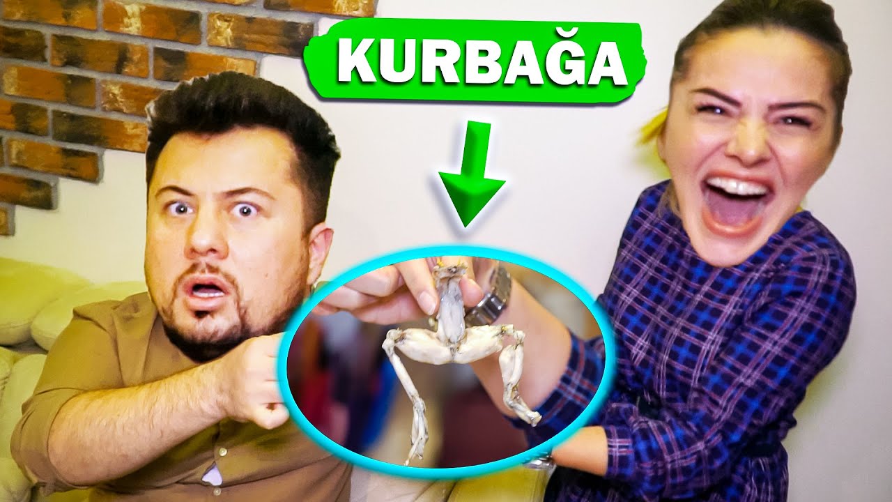 KOCAMA KURBAĞA YEDİRDİM! 