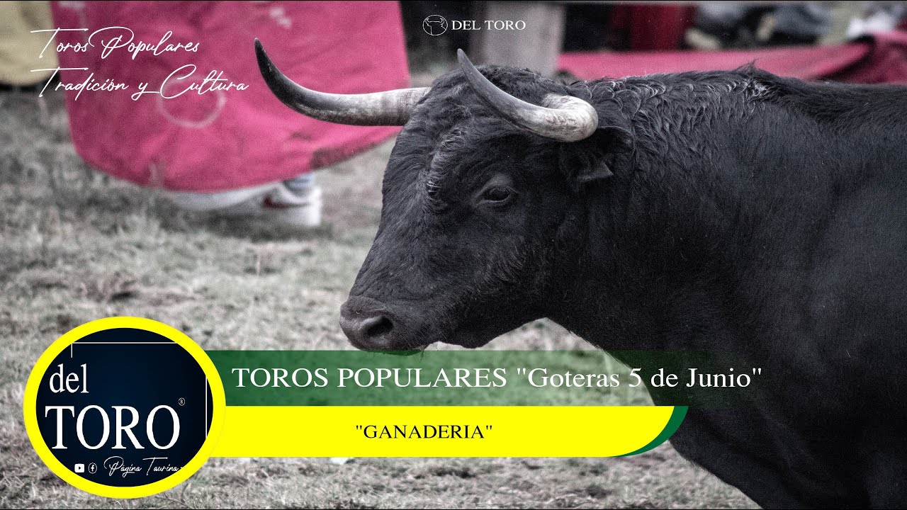Toros Populares | 