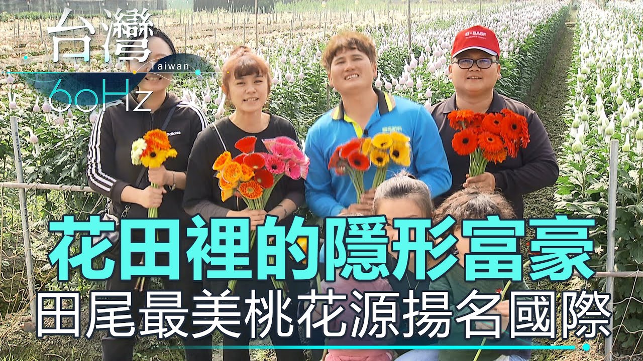 【台灣60Hz】花田裡的隱形富豪 田尾最美桃花源揚名國際｜廖慶學 2021.02.27 part3