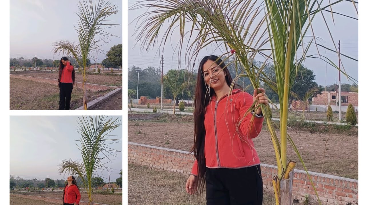 पालक की सब्जी और उसके साथ चावल