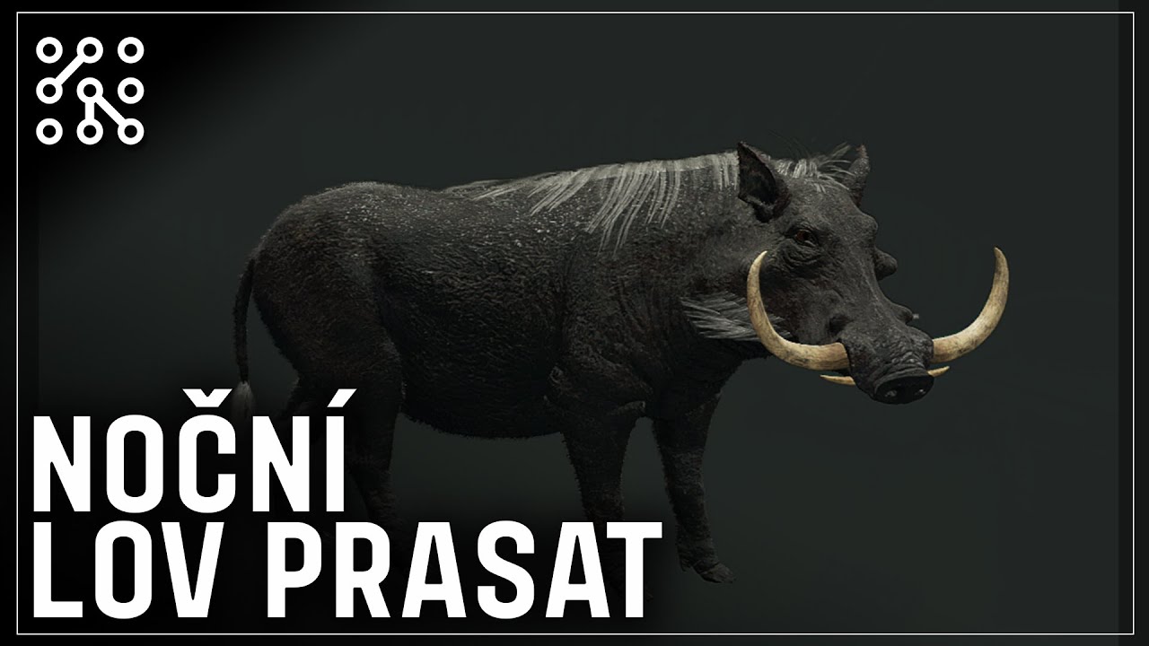 Nádherný DIA úlovek. Ale dal zabrat. | theHunter: Call of the wild CZ |  Česky