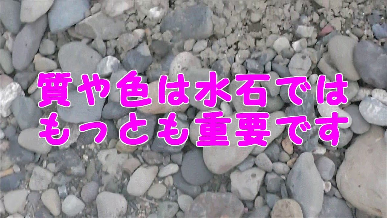 suiseki 水石　探石　揖斐川01 ibi river