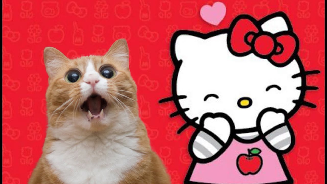 Welcome Milynn Sarley! + Hello Kitty Isn't a Cat