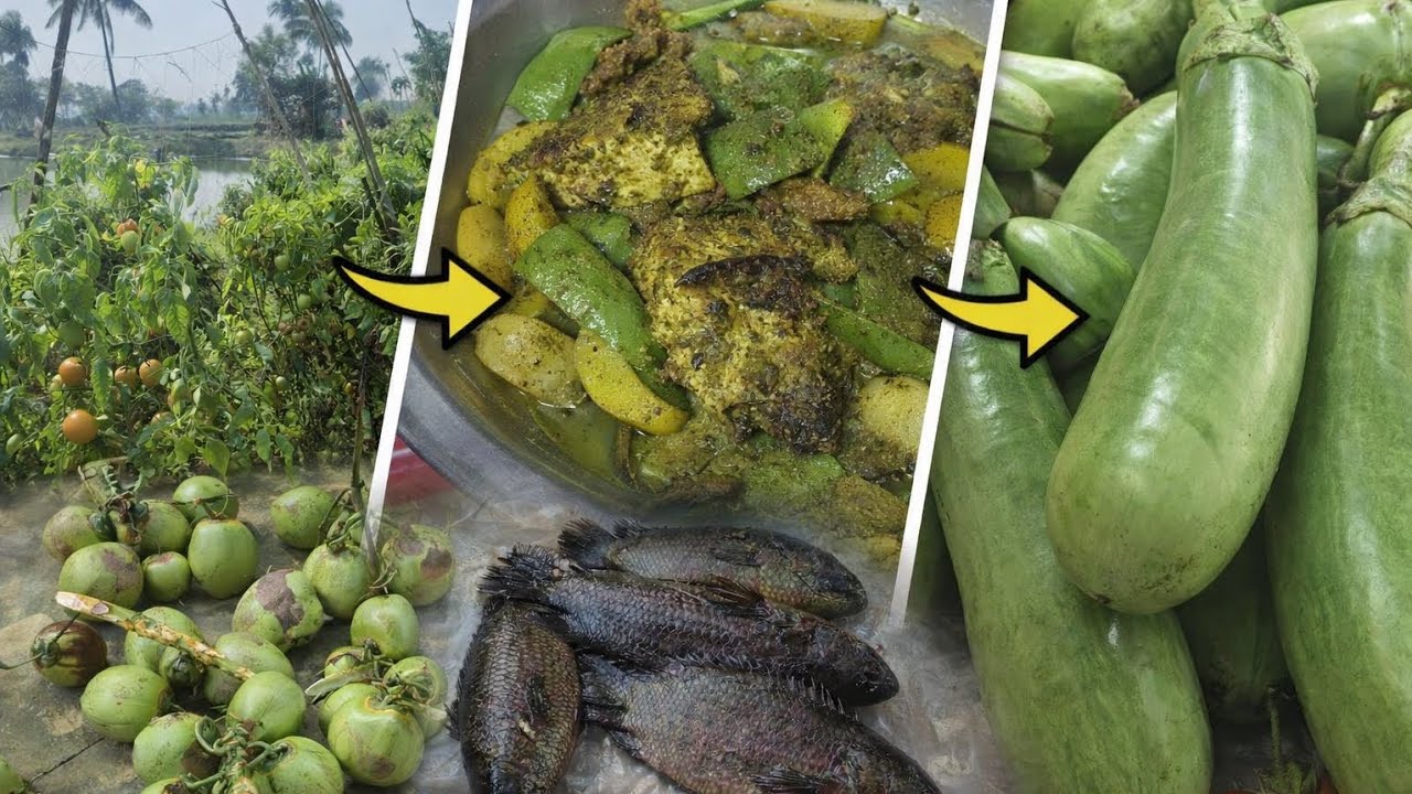 আজকে সকালে মাছ মাংস রান্না করে ডাব বিক্রি করে চলে গেলাম ঘেরে সবজি তুলতে