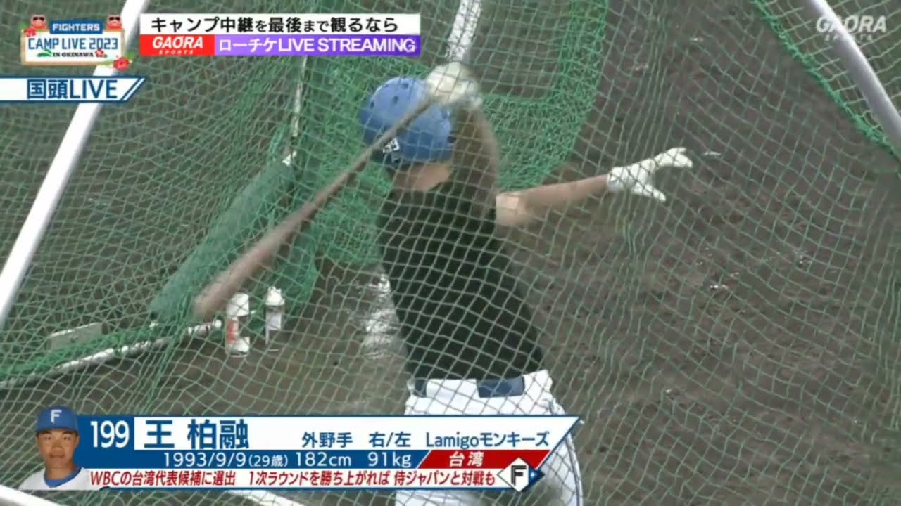 【動態追蹤】王柏融 球春到来！2023シーズン始動！/ Feb 3, 2023
