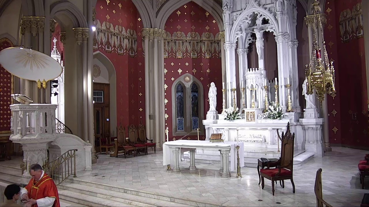 2026 0204 HNJ Daily Morning Mass - Wednesday of the Fourth Week in Ordinary Time