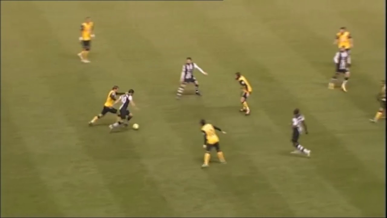 Hatem Ben Arfa World Class Goal v Blackburn Rovers