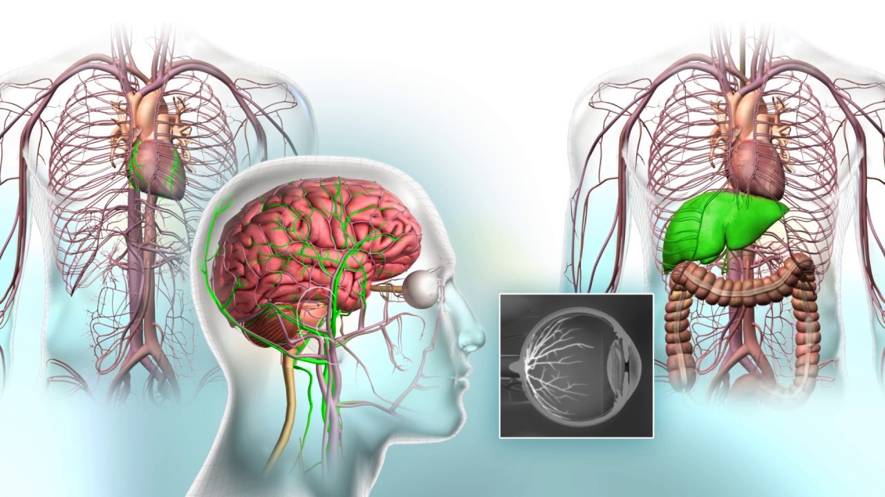 How Fluorescence Guided Imaging Works