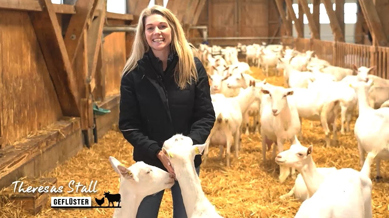 Gourmet-Tiere: „Milchziegen sind Feinschmecker“