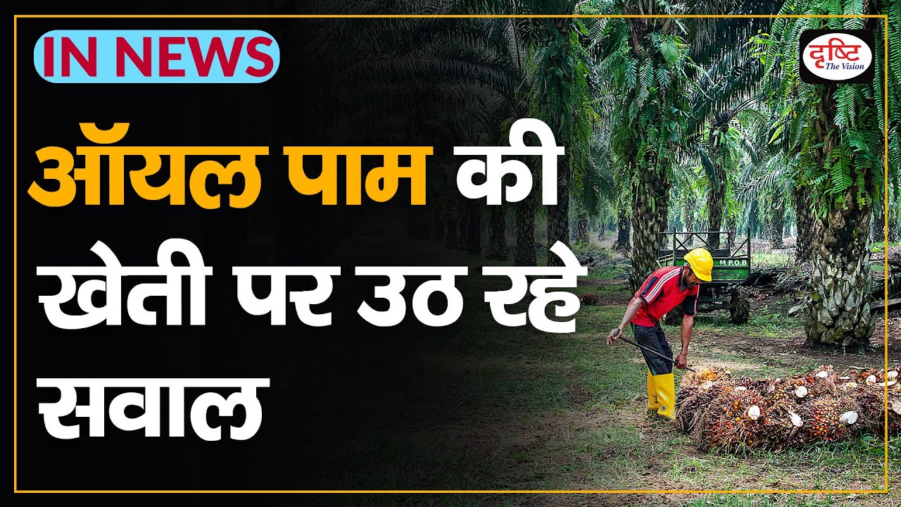 Why Experts are Warning on Oil Palm Cultivation | IN NEWS I Drishti IAS