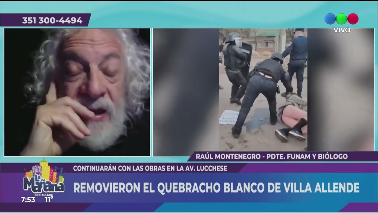 REMOVIERON EL QUEBRACHO BLANCO DE VILLA ALLENDE:  RAÚL MONTENEGRO   PDTE  FUNAM Y BIÓLOGO.