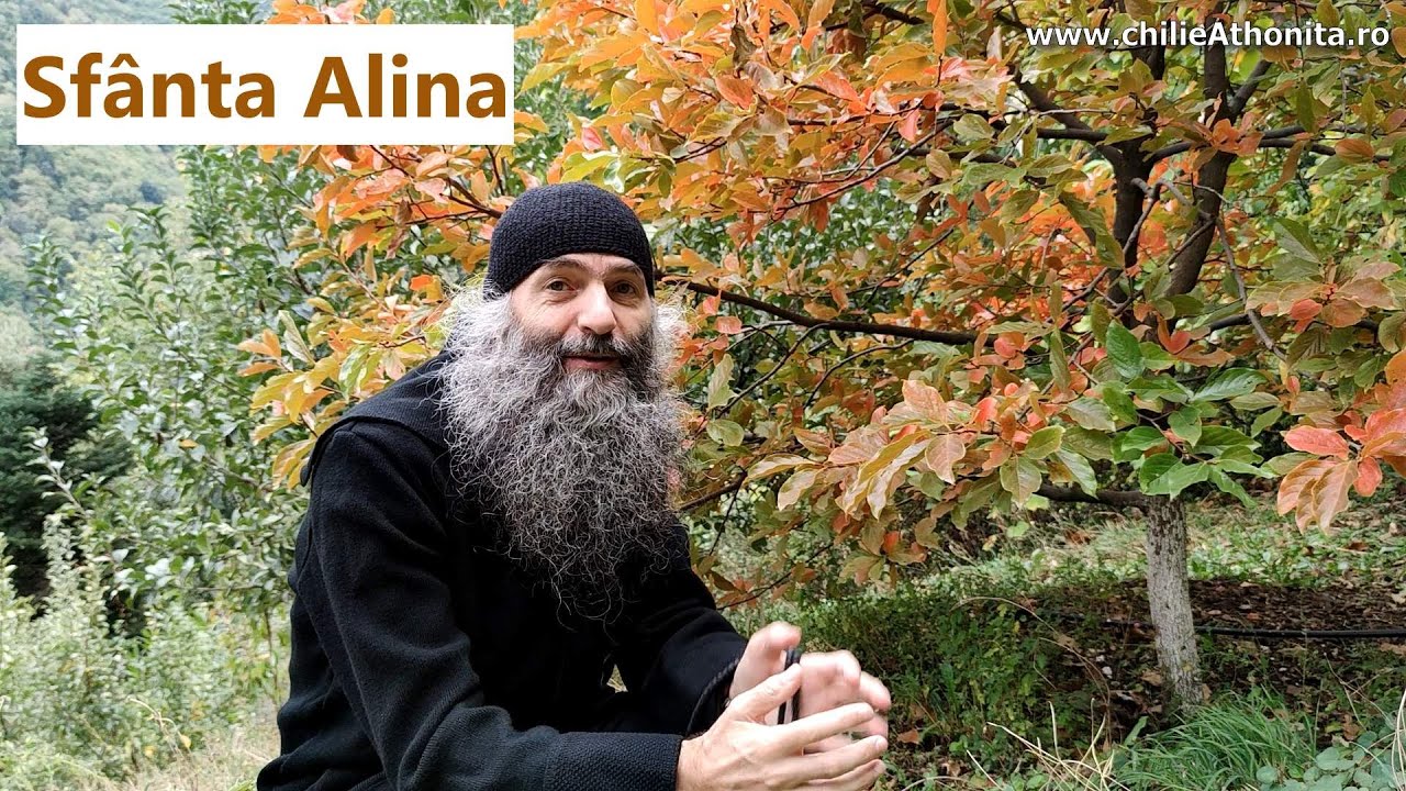 Sfânta Alina - p. Pimen Vlad