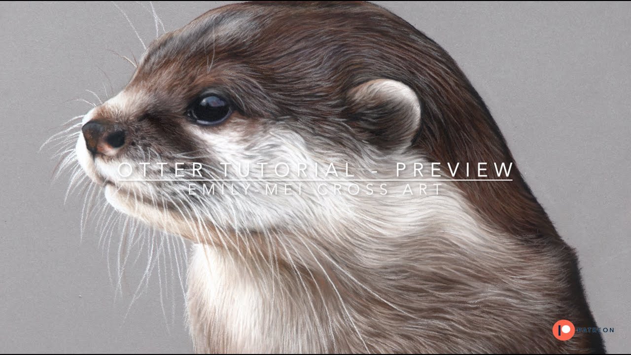 Otter tutorial preview #beginnerartists #pastelpencils #patreon #softpastels