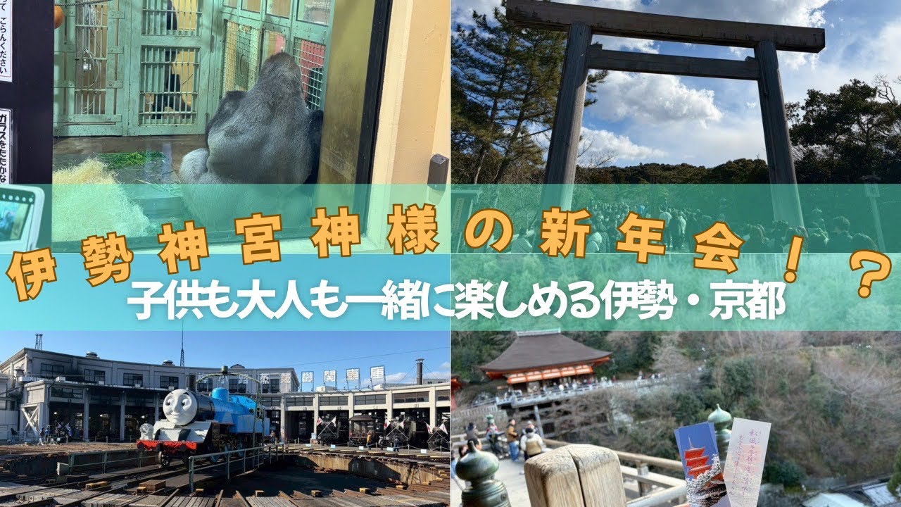 伊勢神宮神様の新年会⁉️ゴリラの赤ちゃん。京都鉄道博物館にトーマス号