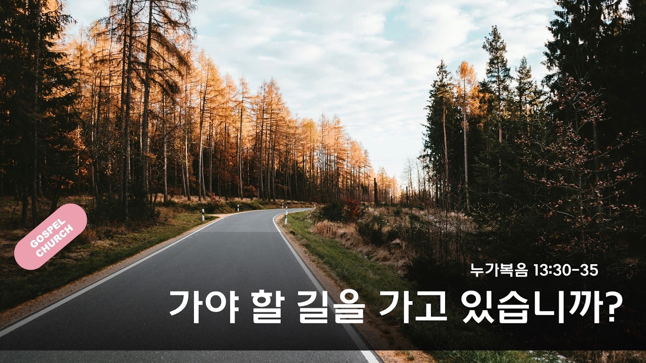 2026년 2월 22일 복음의교회 주일 설교 - 김진하목사(누가복음 13:31-35)