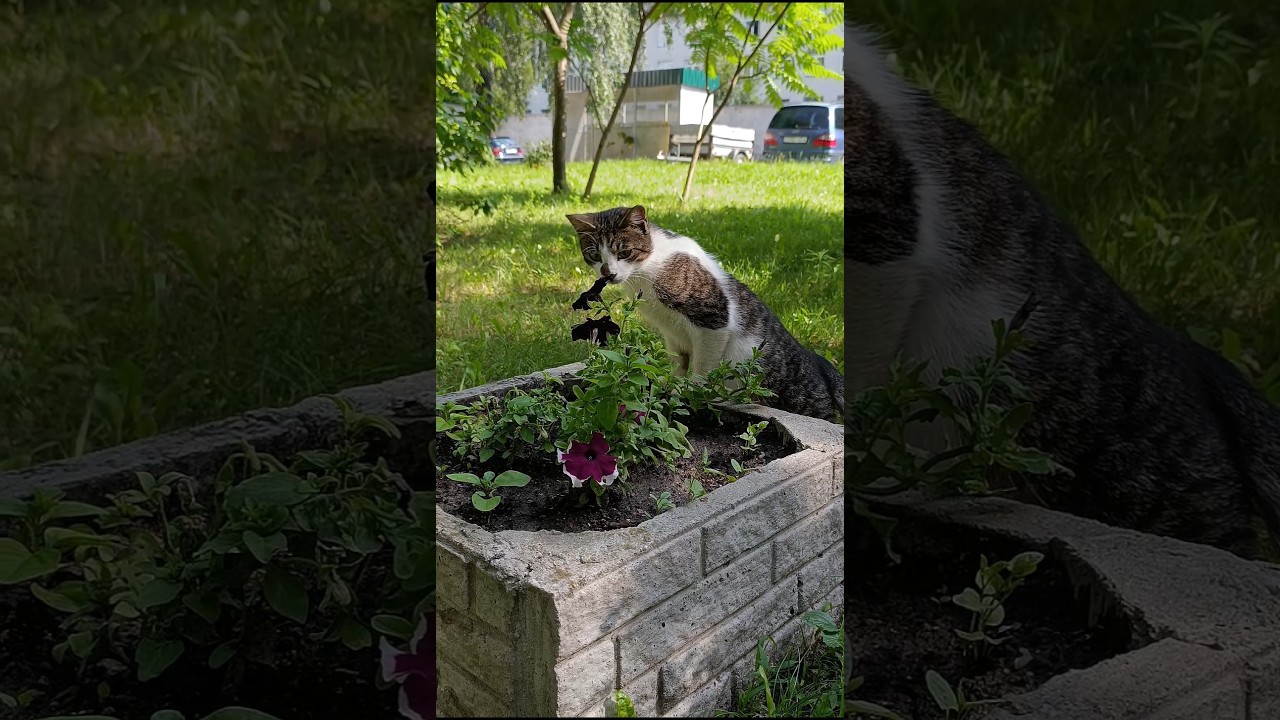 Утренняя РУТИНА😄