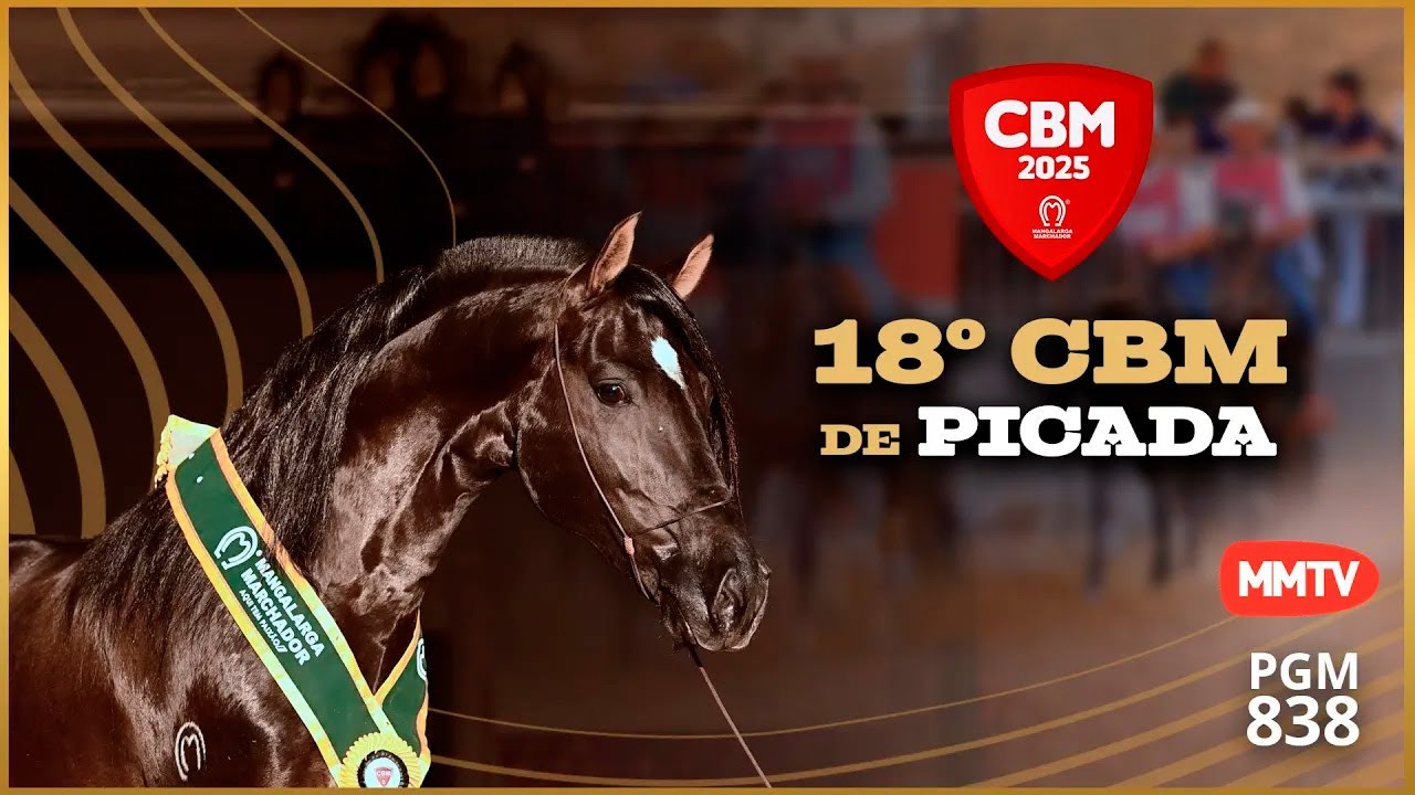 MMTV 838 – 02/11/2025