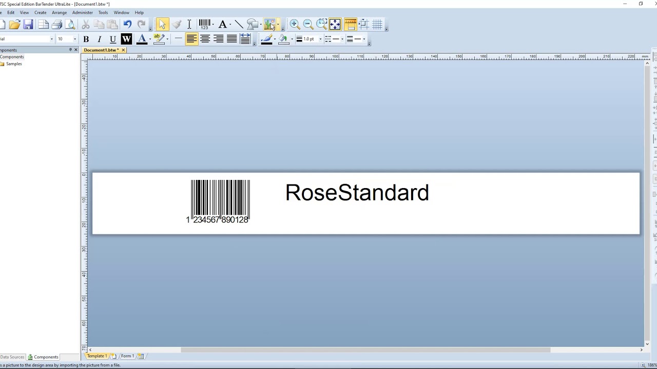 Instructions: First Loop Lock Label with Bartender - TSC MB240T