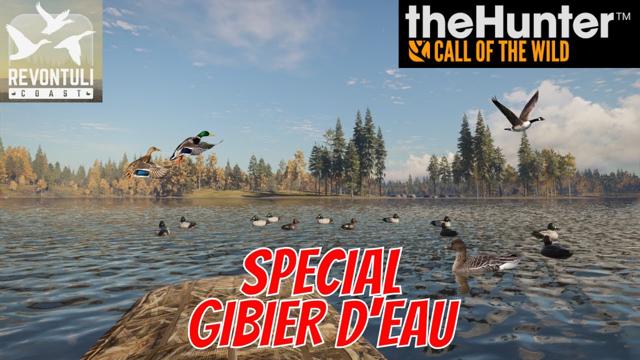 THE HUNTER COTW : Chasse Du Gibier D'eau [ canard , oie  ] | PC