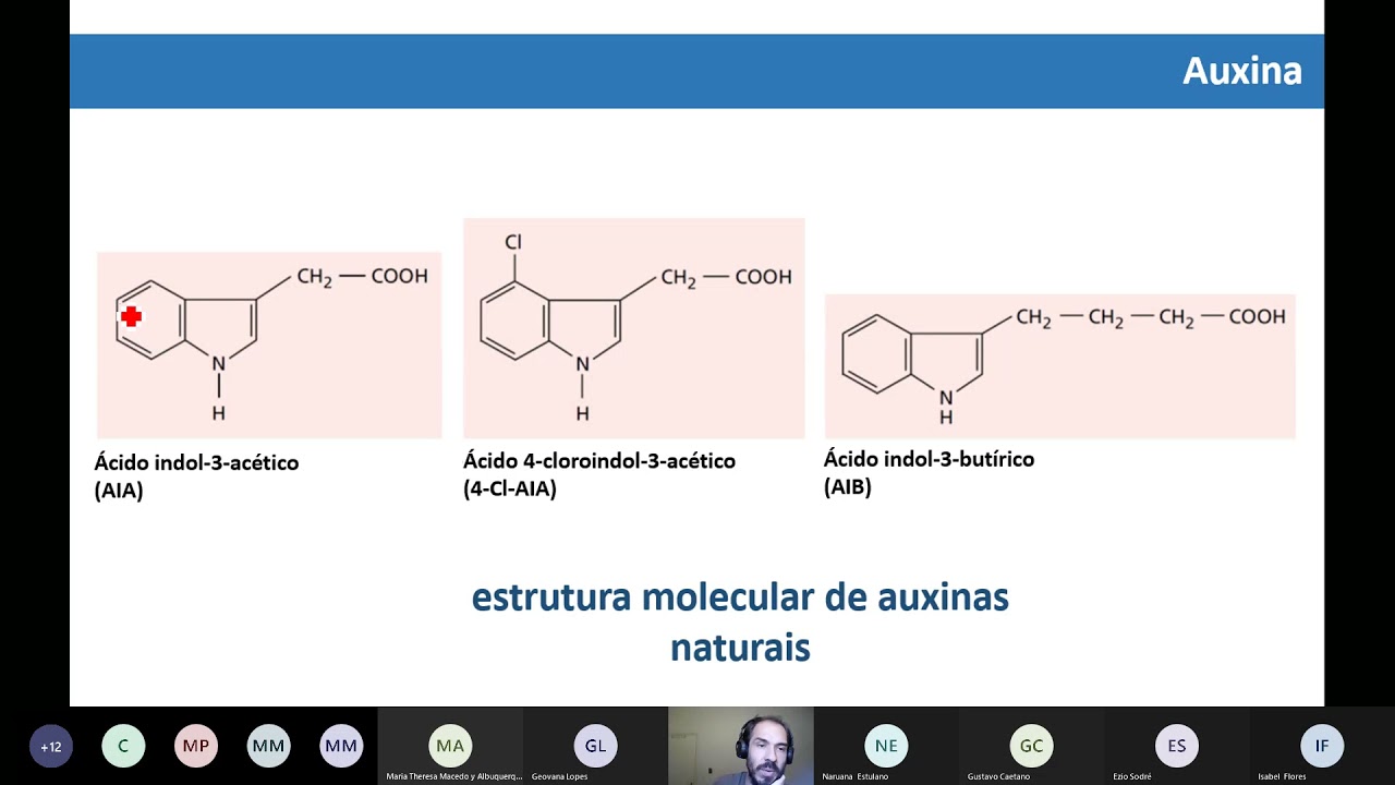 Aula T11 Hormônios vegetais I