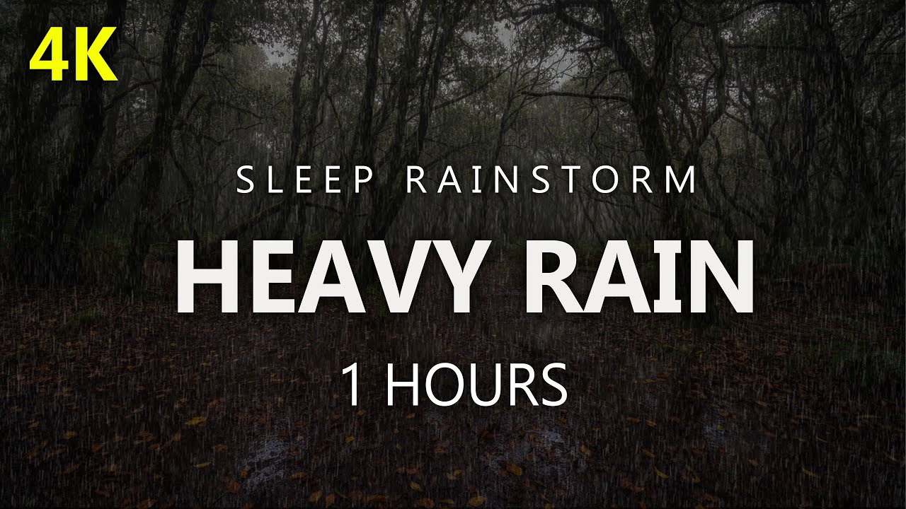 🌧️ Heavy Rain in the Forest Promotes Restful Sleep and Relaxation