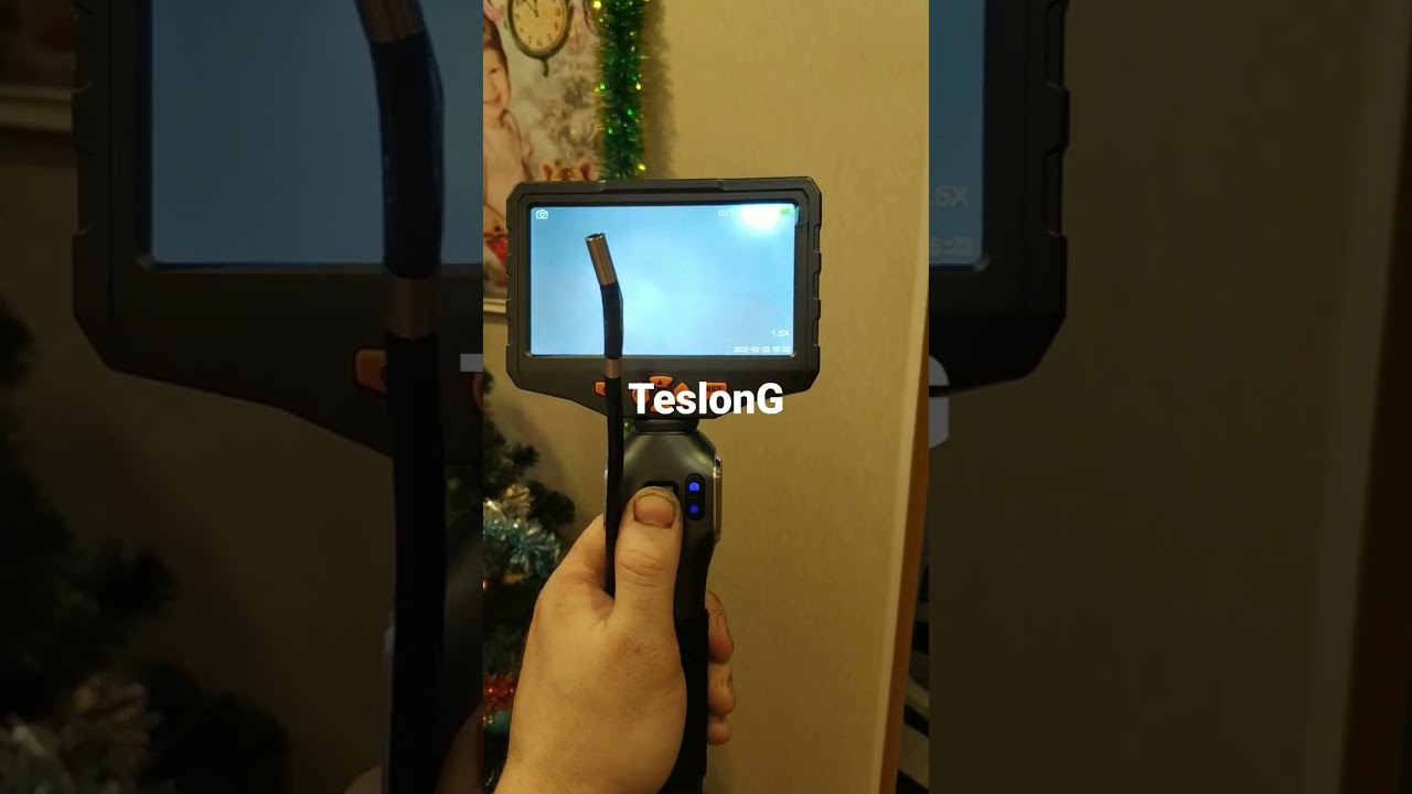 TESLONG Руднев