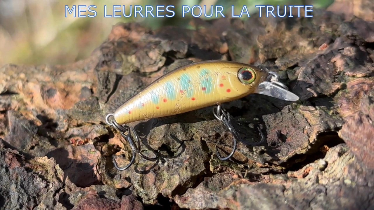 MES LEURRES POUR LA TRUITE SAISON 2026