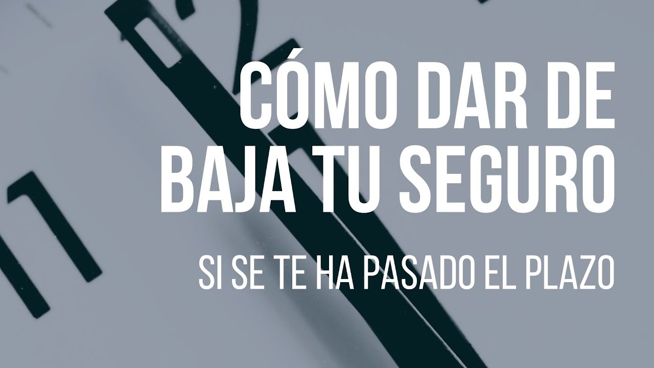 ¿Cómo puedo cancelar mi póliza si se me ha pasado el plazo? | Basilea Abogados