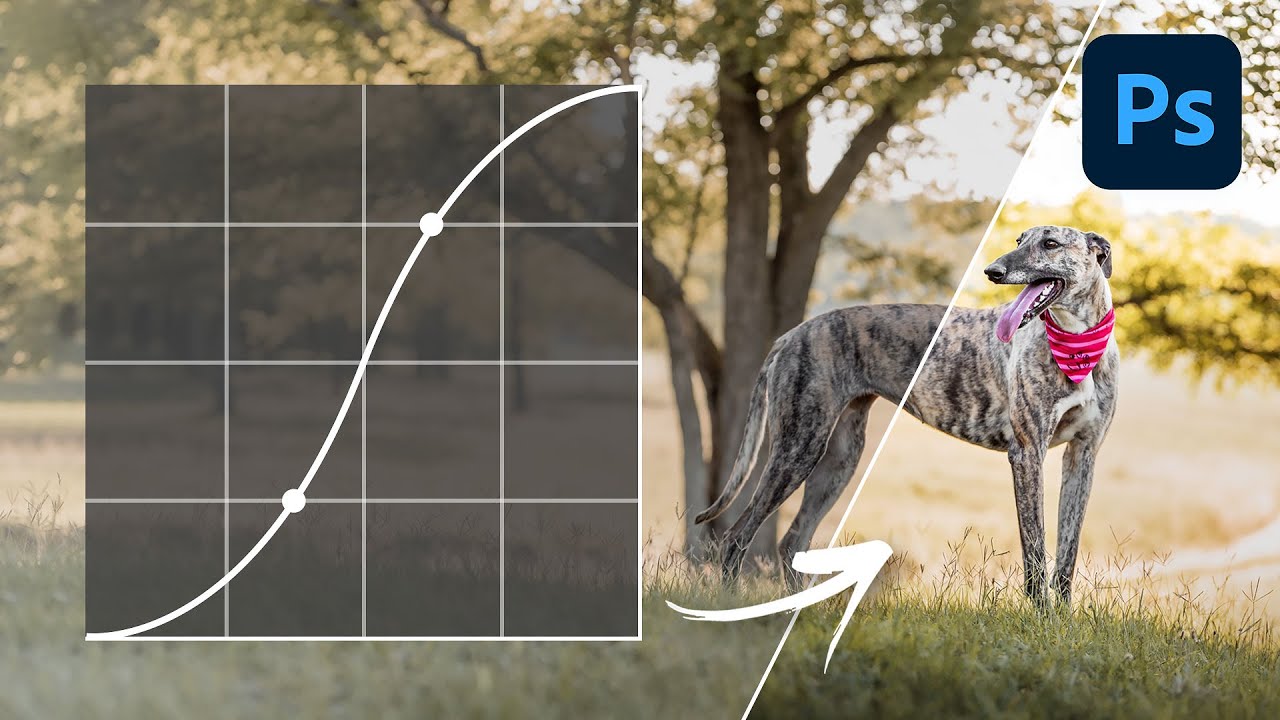 Így működik a görbék (curves) panel | Photoshop alapok #03 | Pixdog