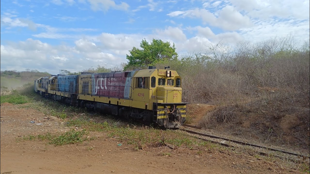 La vai o trem 🚂🚃📢 Trem da transnordestina com Triplex de GM G12 no comando #ferrovia #railway 