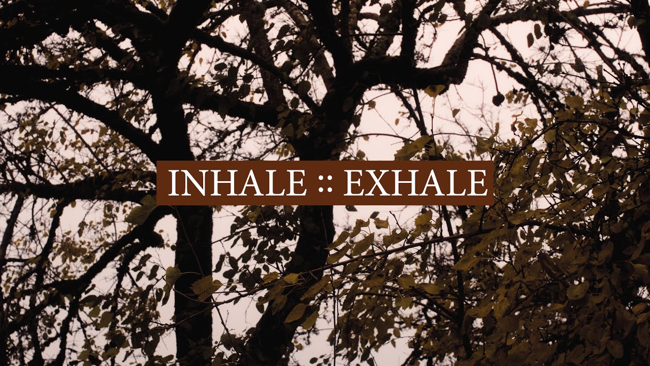 Amie Waters // Inhale :: Exhale