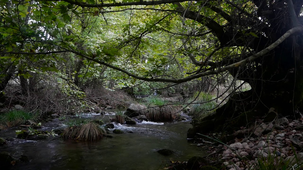 RIVER SELINOUNTAS KALAVRYTA GREECE