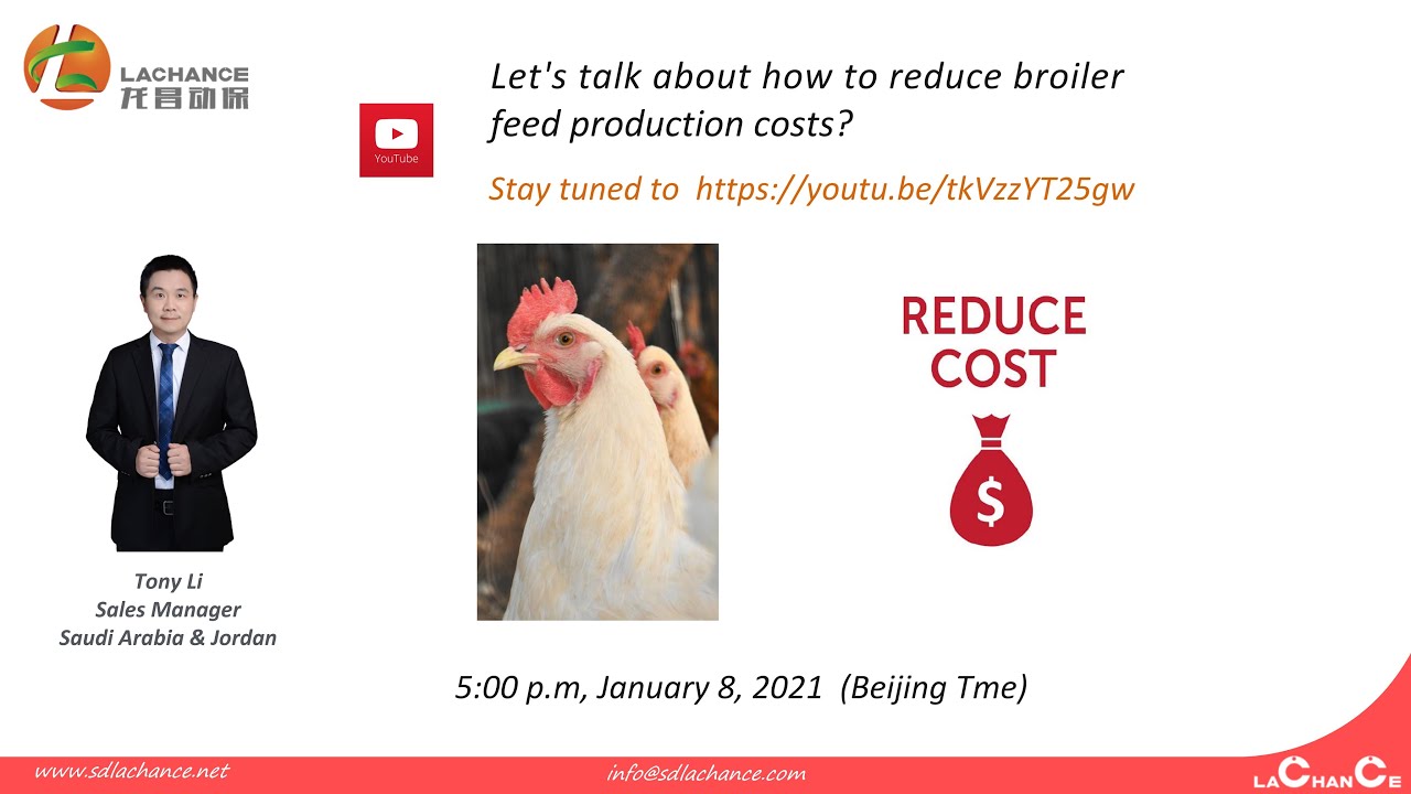 How to reduce broiler feed production costs?