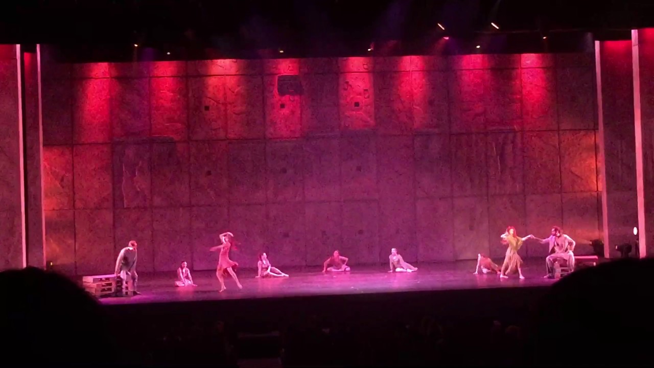 Zingara (Tania Tuccinardi) - Notre Dame de Paris 03.01.17