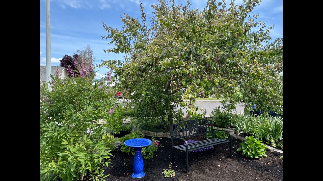 My garden last year. looking forward to this next season!