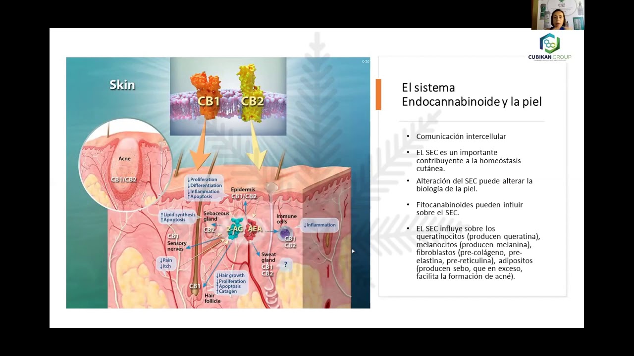 3. Sonia Gallo. Perspectivas Industriales del Cannabis con Fines Cosm&eacute;ticos- Cubikan Group