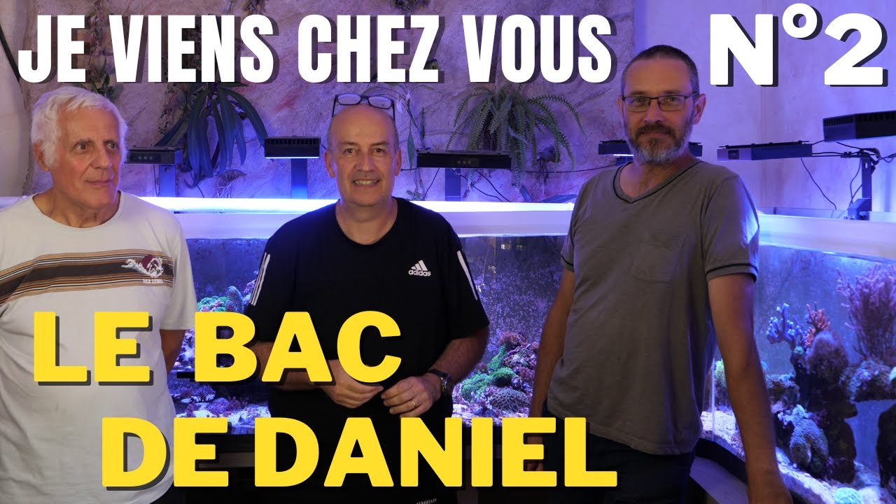 Je viens chez vous - Le Bac Récifal de Daniel -