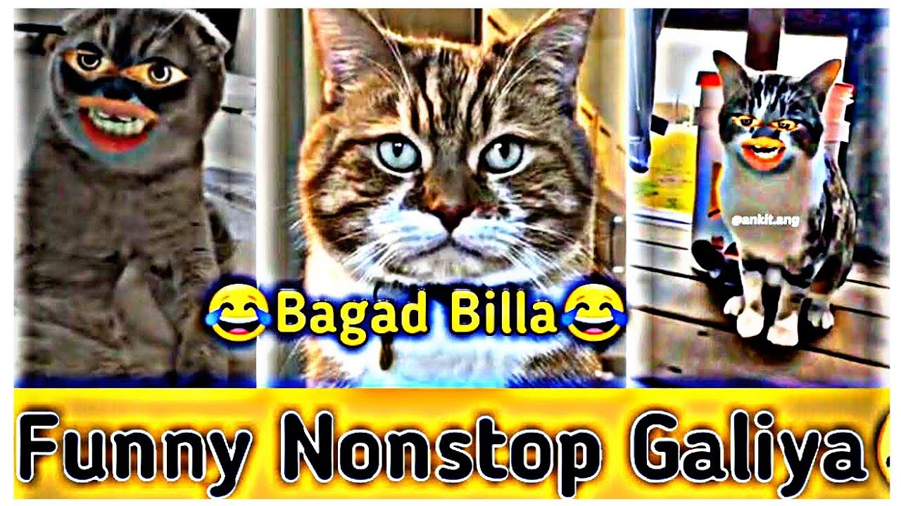 bagad billa || bagad billa ki comedy video || bagad billa dance || bagad billa memes