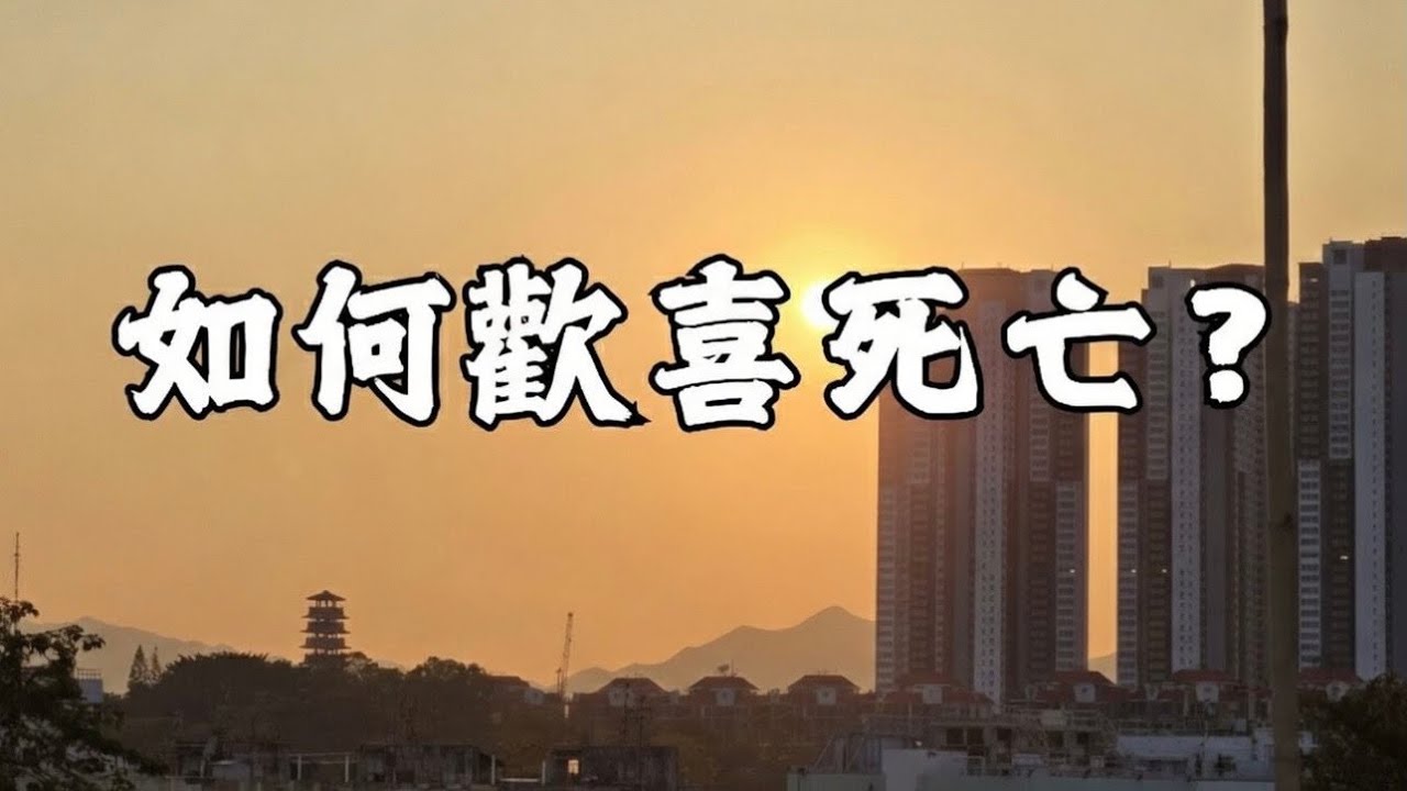 23 - Q&A｜圓通寺 道源法師 禪修開示 第71堂 20240811