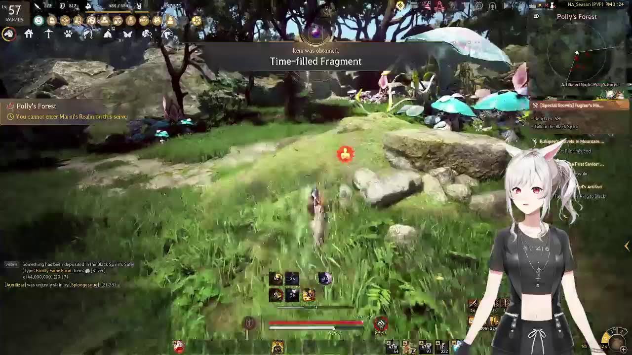 Catching up on my season in Black Desert