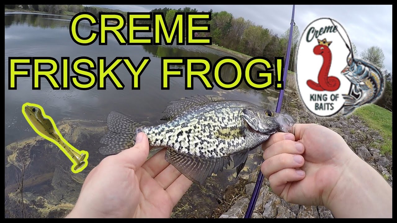 Creme Lures Frisky Frog is amazing for mutli-species fishing!