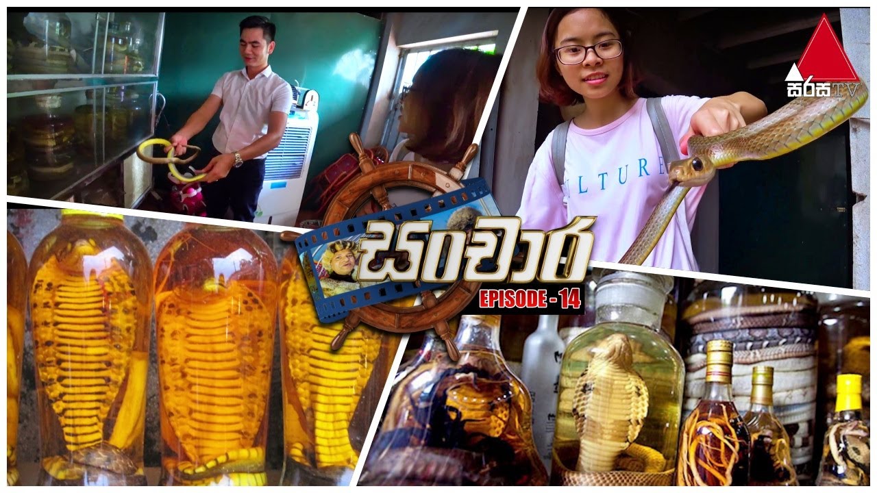 සර්පයින්ට ප්‍රසිද්ධ වියට්නාම් ගම්මානය | Sanchara (සංචාර) with Rohan Direkz | EP 14 | Sirasa TV