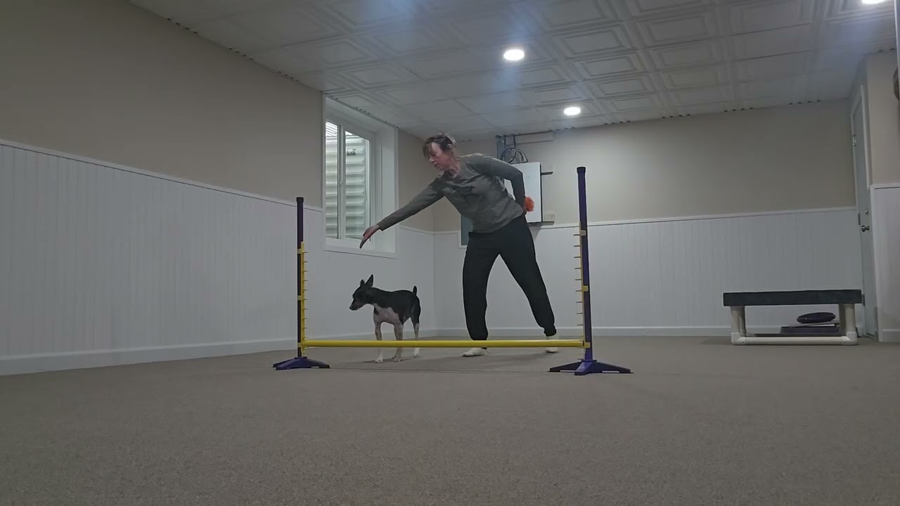 2/15 wraps with tug 